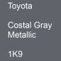 Preview: Toyota, Costal Gray Metallic, 1K9.